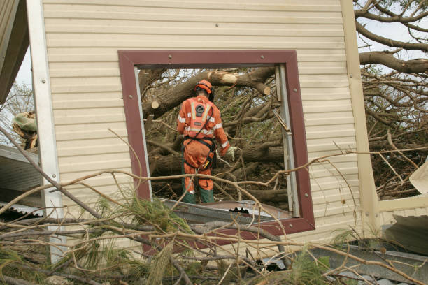 Best Tree and Shrub Care  in Medford, WI